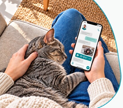 دامپزشک آنلاین دامپزشک صفحه دامپزشک آنلاین هم پت